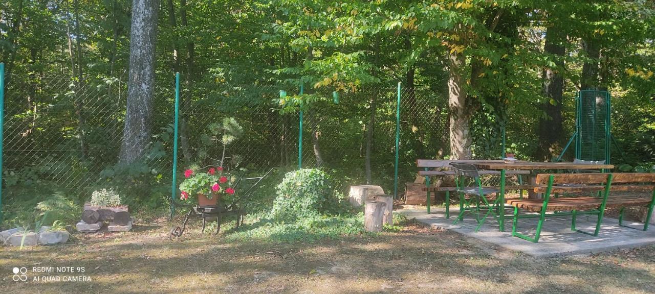Holiday Home Nina Petrinja ภายนอก รูปภาพ
